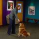 A video program about dog training